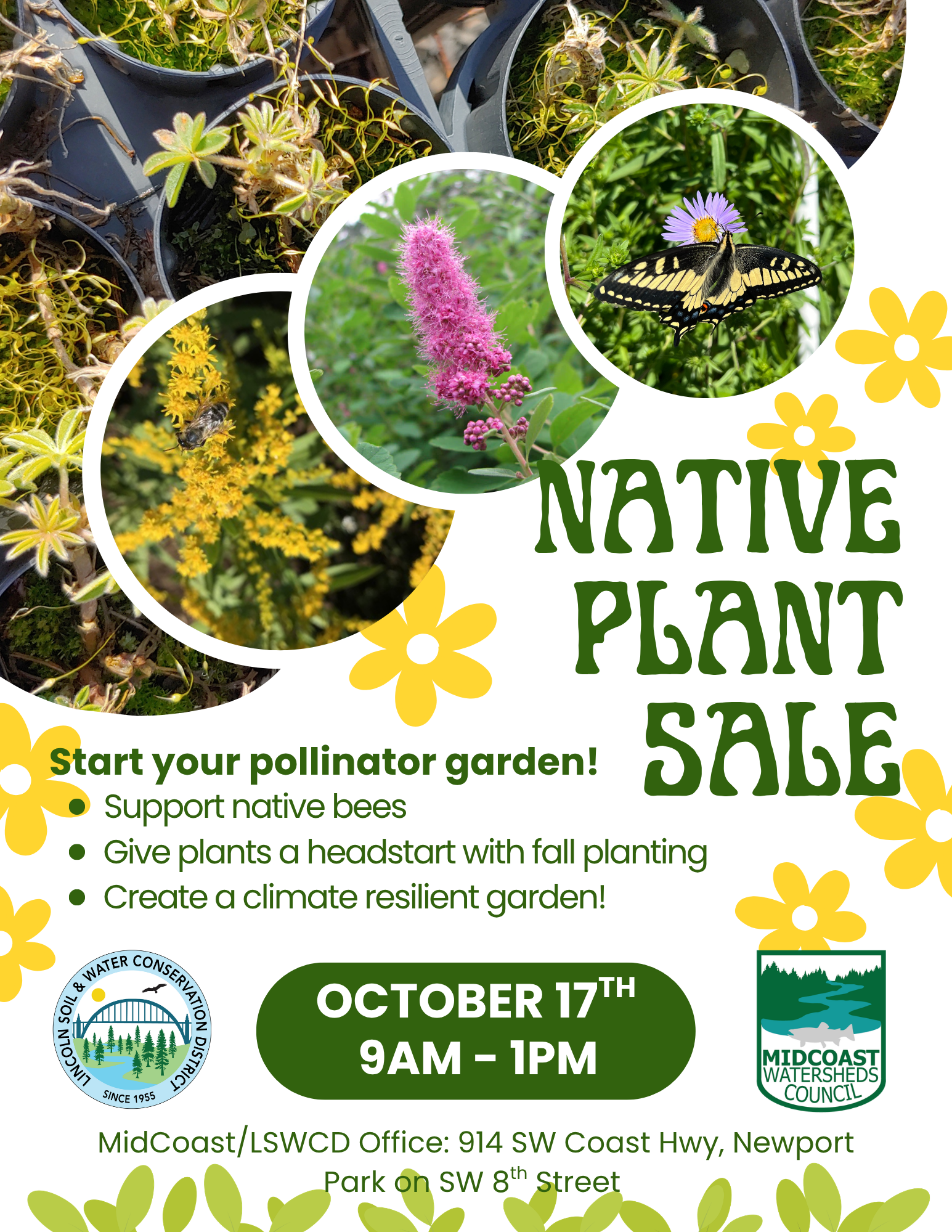 Flyer for the MidCoast Watersheds Council Native Plant Sale on October 17, showing native plants with a bee, a pink flower spike, and a butterfly on a purple flower.