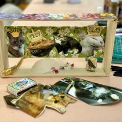 A wooden shadow box holding cutout photos of three cats and a bearded dragon, each wearing a small gold crown, against green daisy fabric.